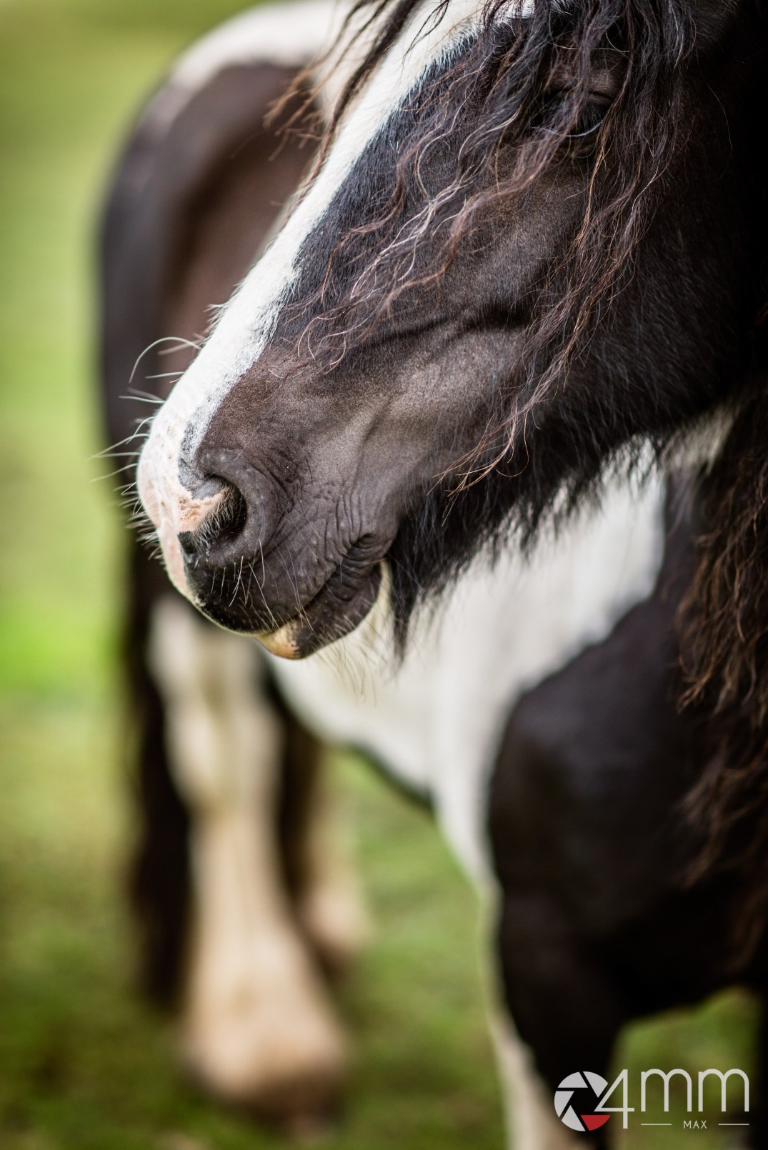 160814_203029_160814_203029_d60_3489_ex-2_4mm