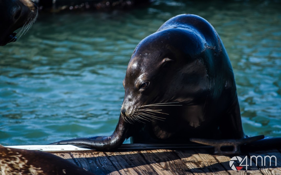 160916_195610_dsc_1910-1_logo4mm